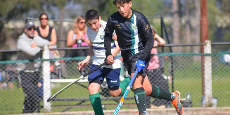 Hóckey Masculino: Los resultados de las inferiores de Banfield ante Banco Provincia